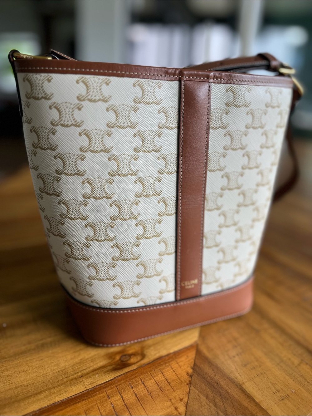 CELINE Triomphe Canvas & Calfskin Small Bucket Bag White